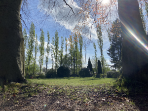 Bild des Veranstaltungsortes