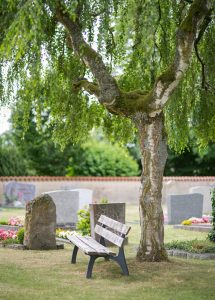 Friedhof mit Weide und Sitzbank